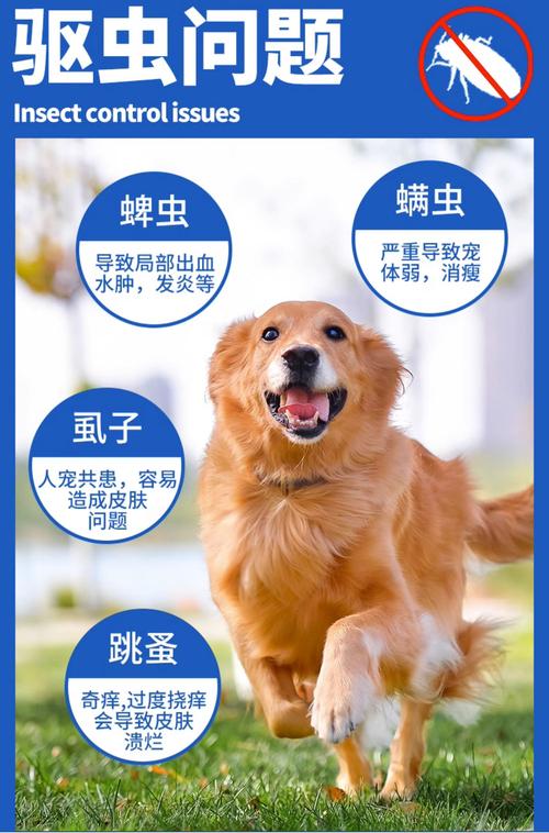 狗狗身上有跳蚤用体外驱虫药有用吗