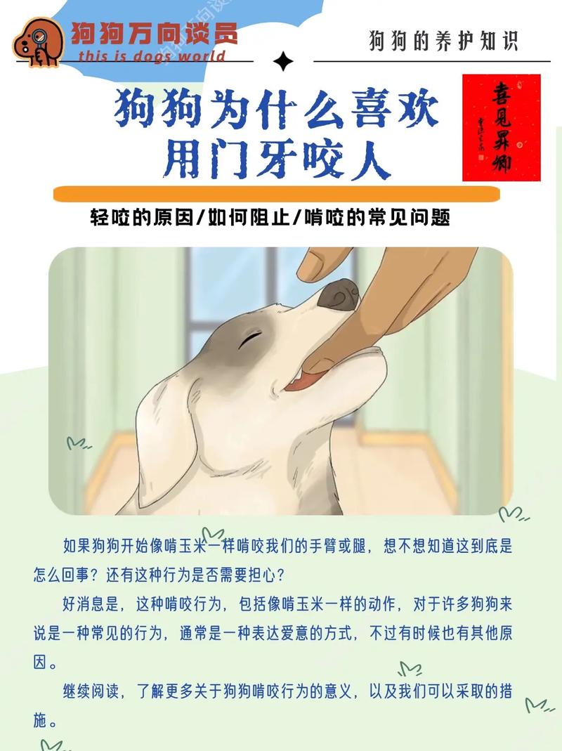 狗狗为什么不能吃玉米