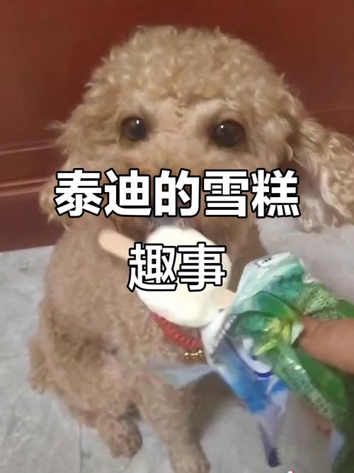 狗狗吃了雪糕棍死了