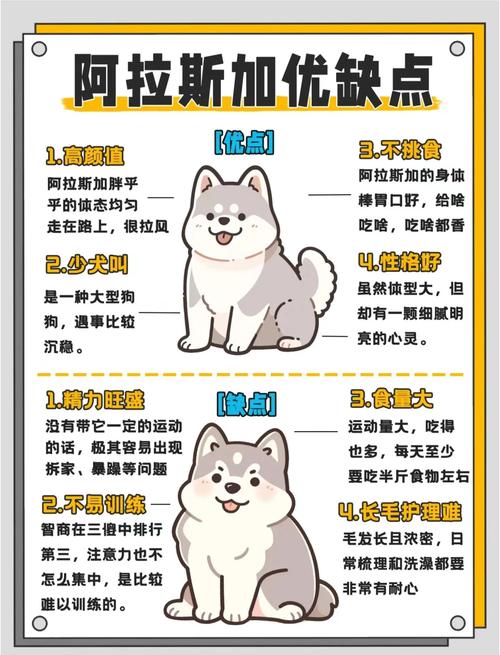 狗狗瘦不长肉怎么办