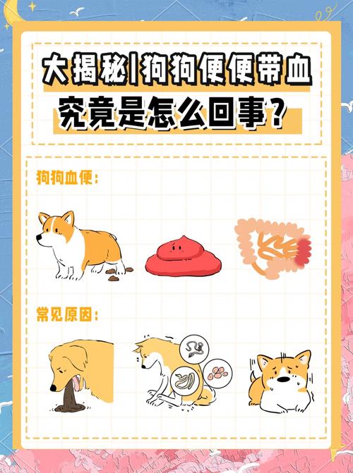 狗拉血是怎么回事