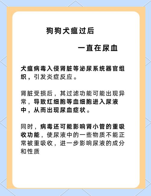 小狗狗为什么一直拉血呢