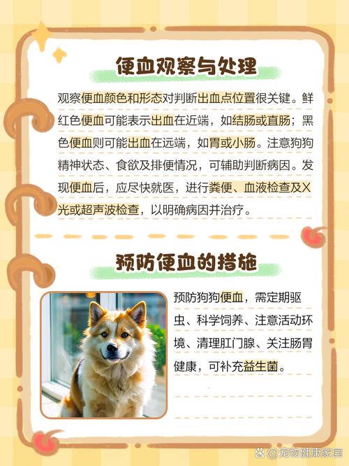 狗狗细小一般拉血几天