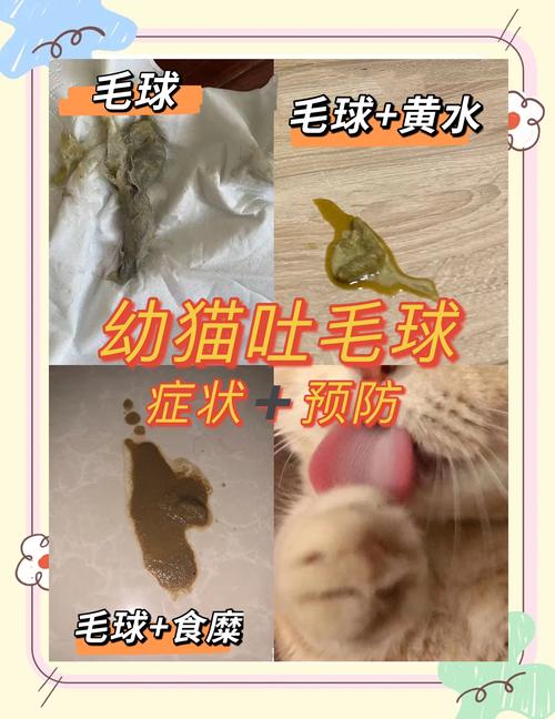 猫咪多大的时候会吐毛球?
