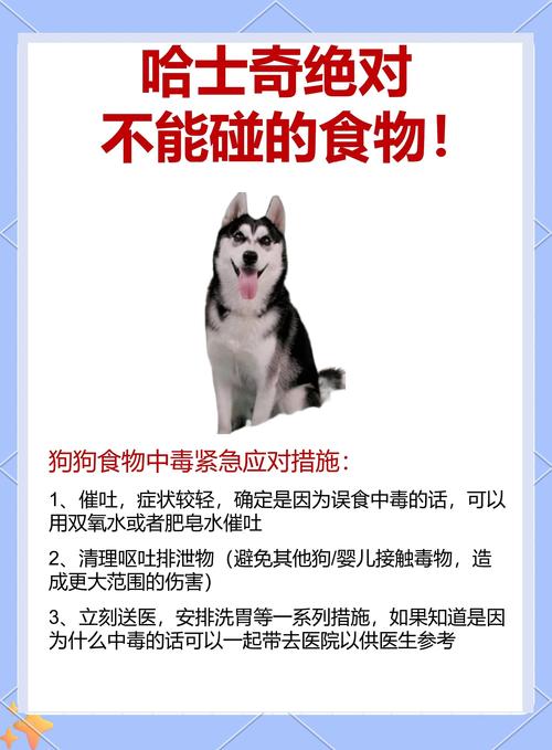 小狗吃泡泡糖会怎么样