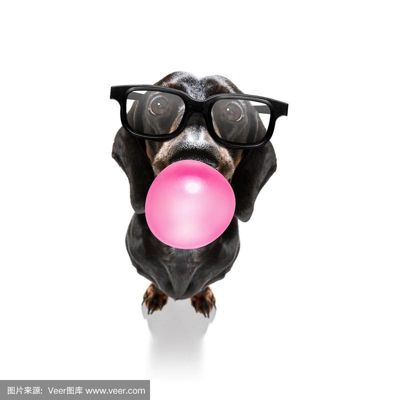 狗狗吃了很多泡泡糖,拉稀了怎么办