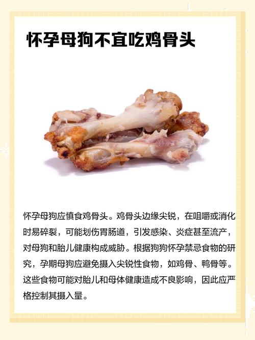 狗狗刚刚怀孕能不能吃打碎的鸡架