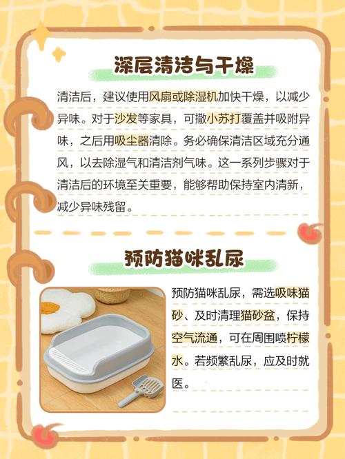 鞋子里有猫咪的尿味怎么办?