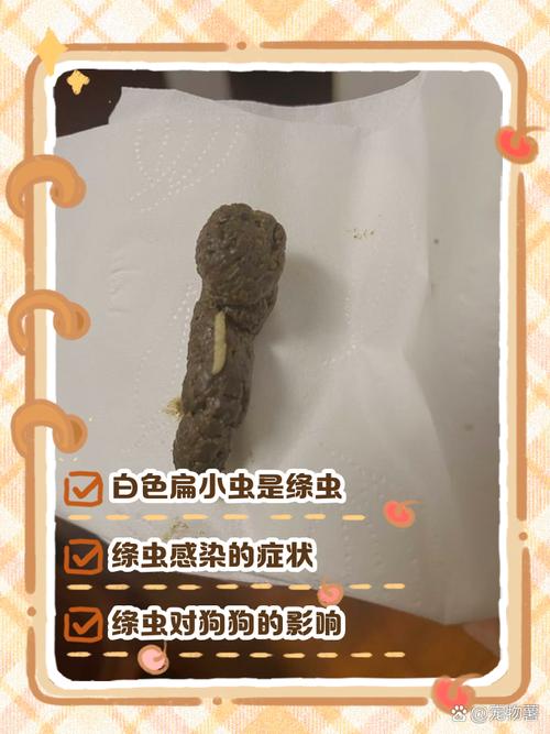 小狗吃了驱虫药拉出来虫子怎么办?