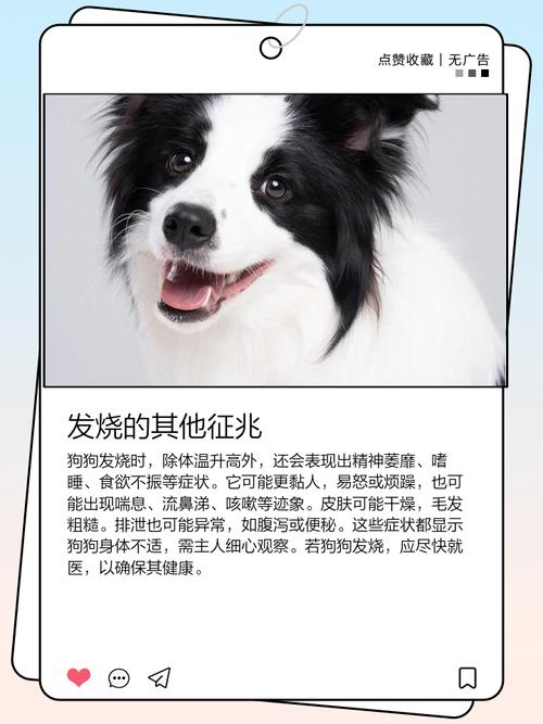 狗狗耳朵热热的