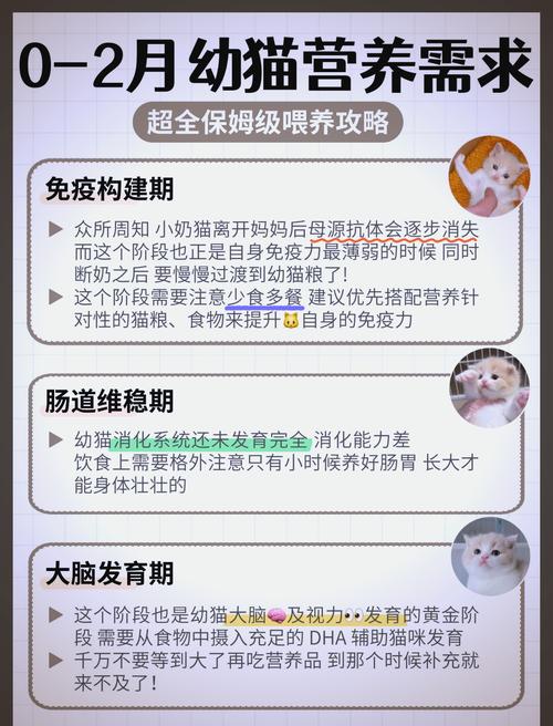 两个月小猫好养活吗(两个月小猫好养吗)
