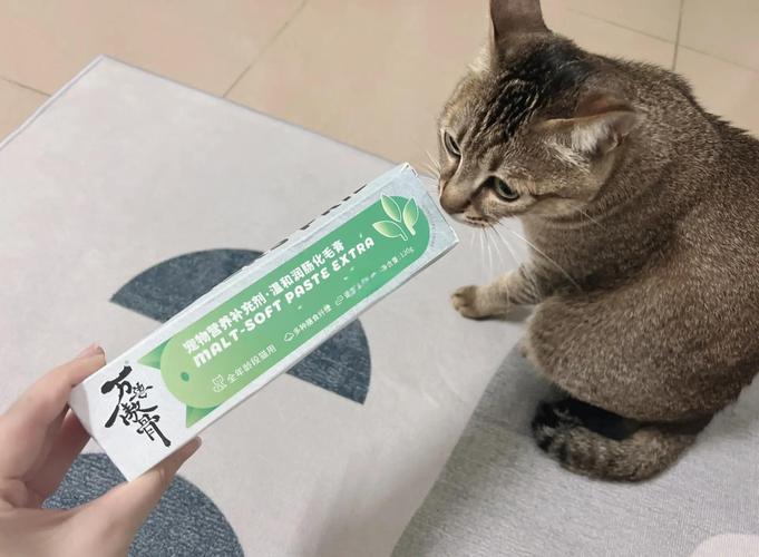 猫咪化毛膏多久喂一次一次吃多少