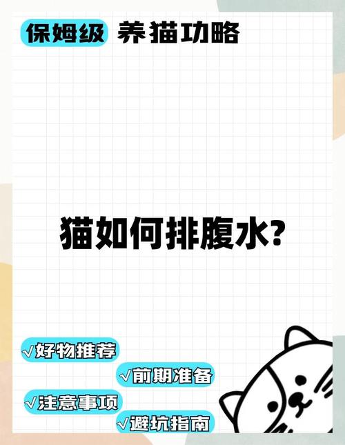 猫肝腹水如何治疗?