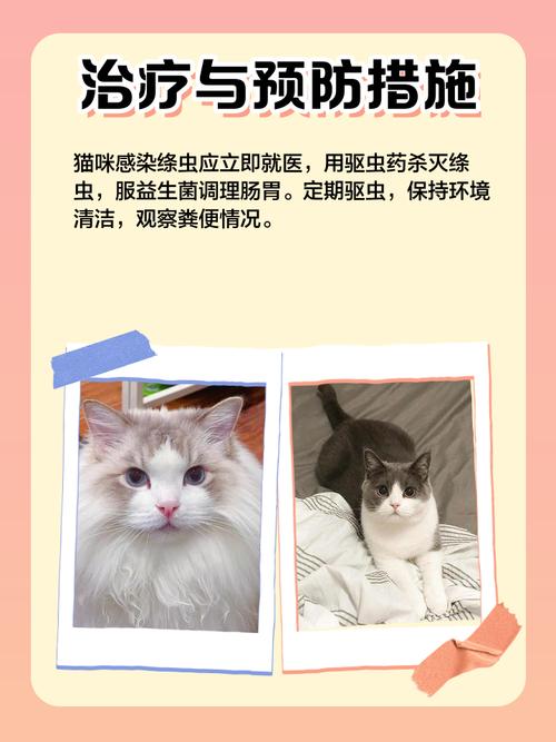 猫拉出白色条状虫子