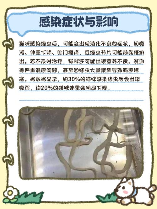 猫拉的白色虫子会传染人吗?