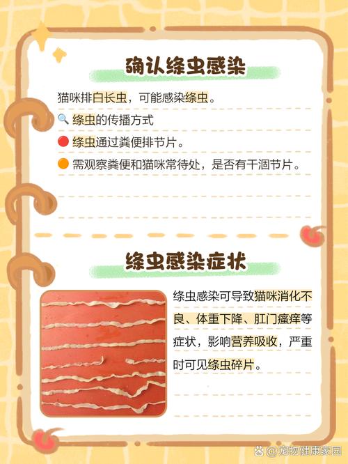 猫拉虫子长条白色的