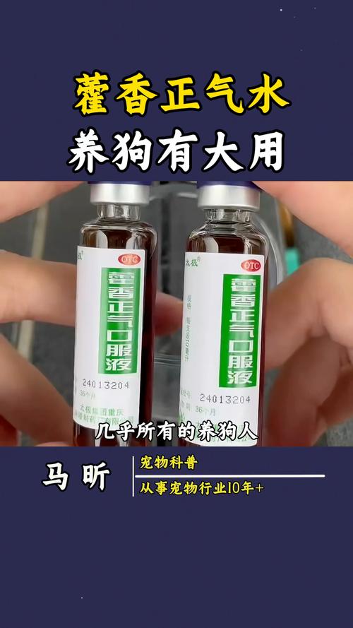 狗狗能喝藿香正气水吗