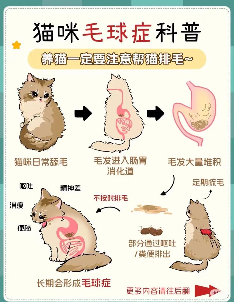 猫咪得了毛球症怎么治疗?