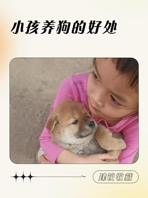 狗狗和小孩可以一起养吗,养狗对小孩子的好处