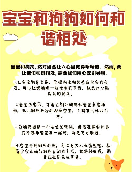 家有新生儿的养狗禁忌