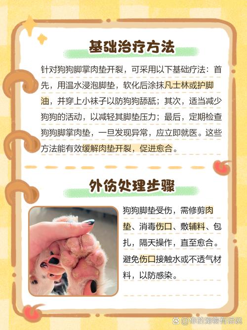 狗狗皮破了露出肉了该怎么办