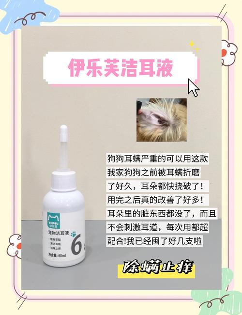 狗狗耳朵臭用什么药