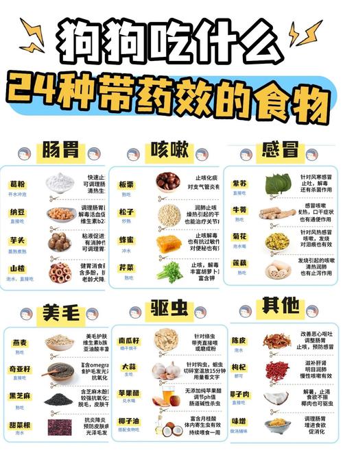 狗狗拉肚子吃什么食物好