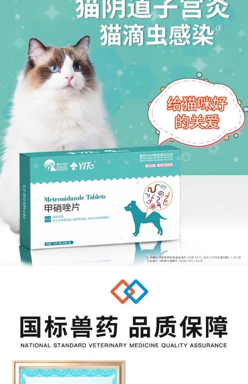 猫咪口炎的症状和处理方法