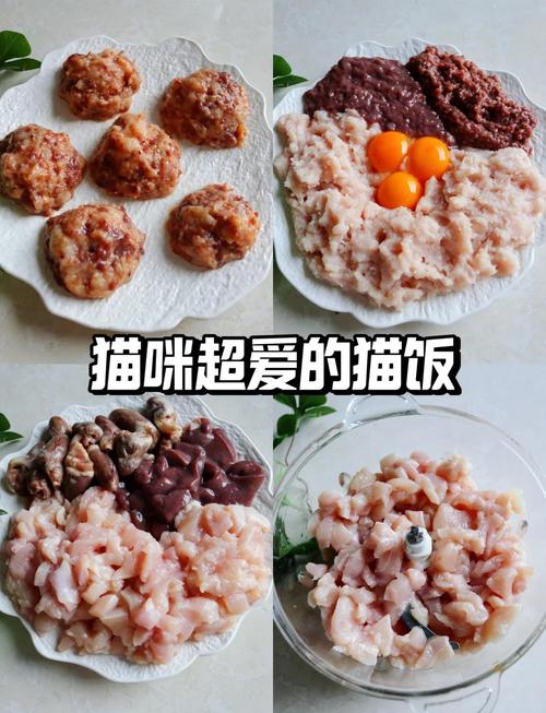 猫吃什么食物除了猫粮