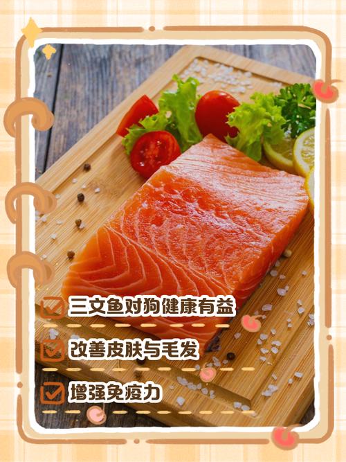 狗狗多久吃一次三文鱼好