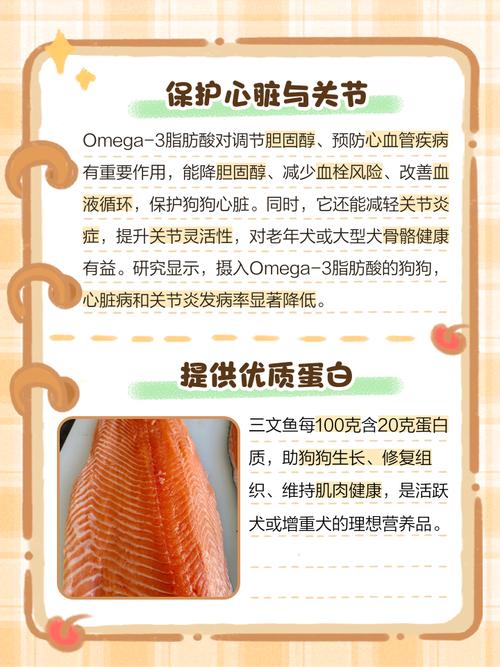 三文鱼对狗狗有什么好处和坏处