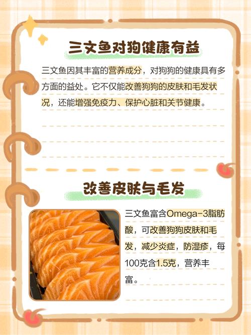 狗吃三文鱼好处
