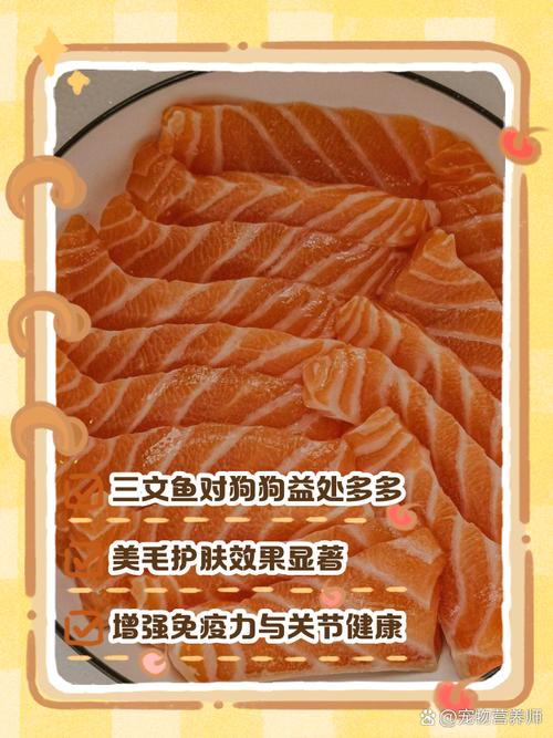 狗狗吃三文鱼的好处