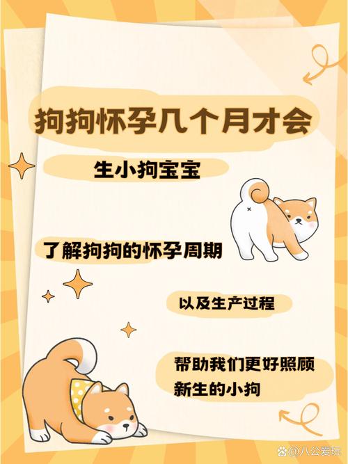 狗狗多大可以生宝宝