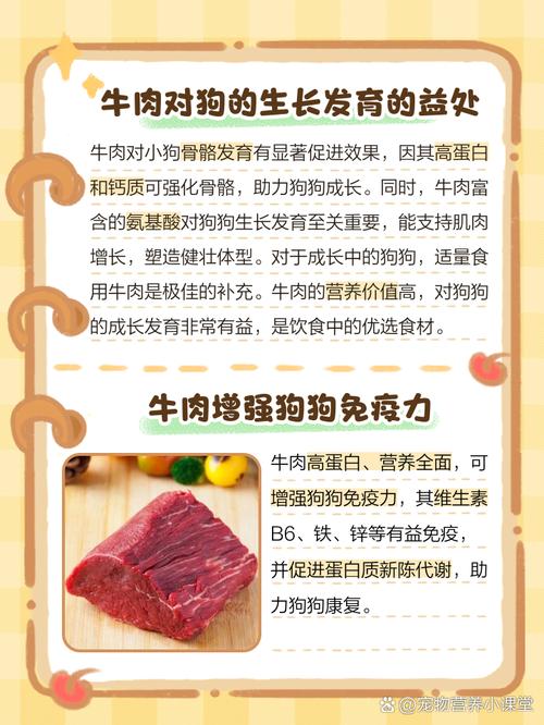 狗吃牛肉的好处和坏处