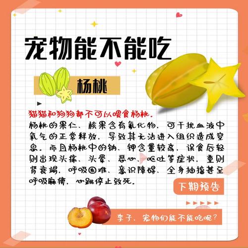 狗狗绝不能吃的4种水果