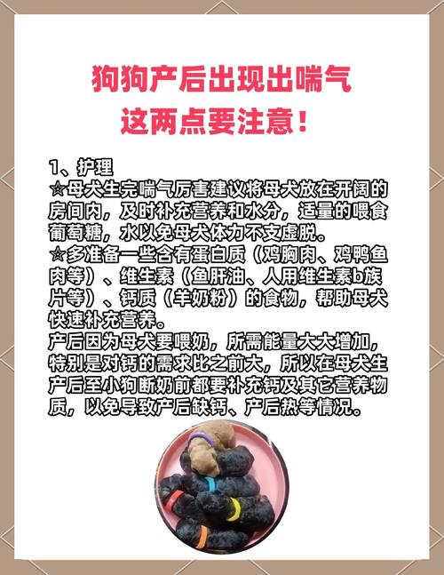 母狗喂奶大口大口喘气是怎么了