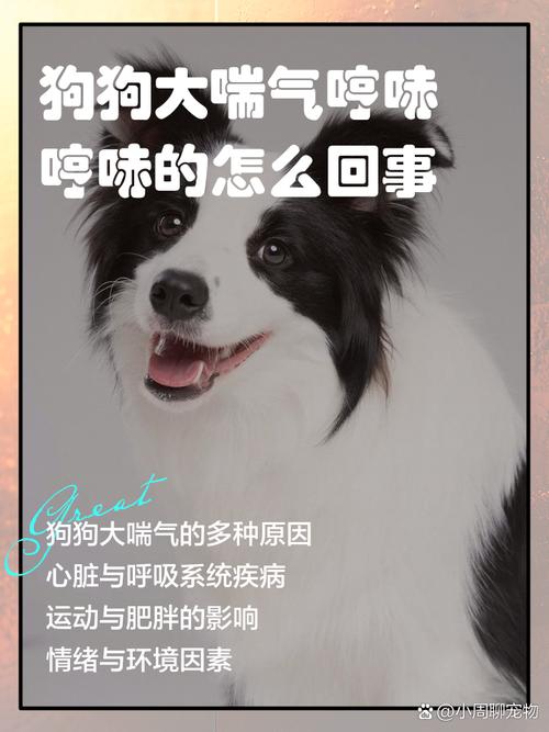 狗狗大口喘气怎么回事