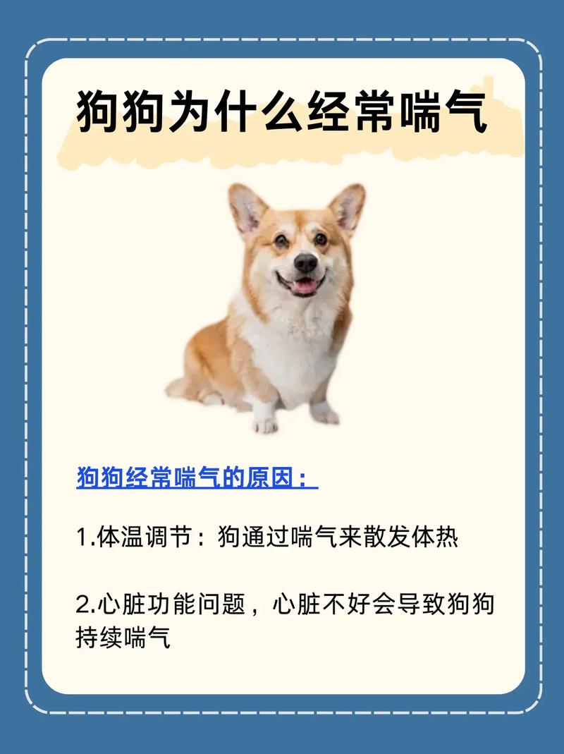为什么狗狗会不停的大口喘气?