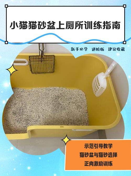 怎么教猫用猫砂上厕所