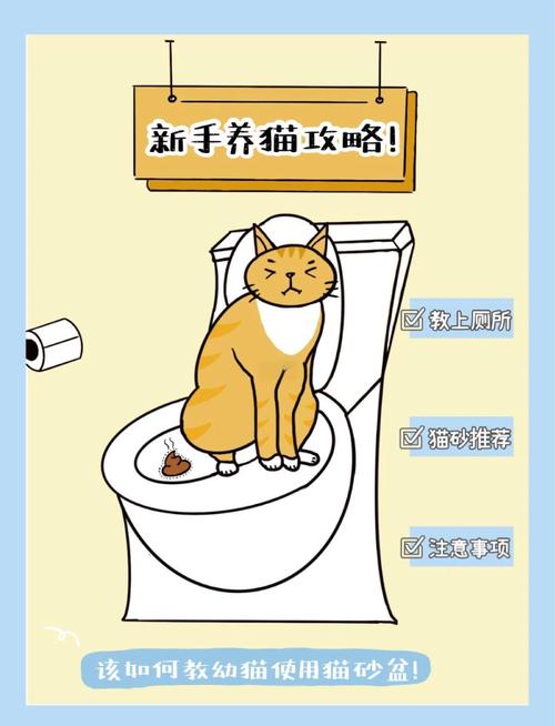 怎么教猫咪用猫砂上厕所
