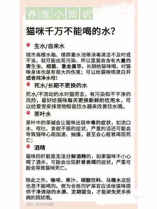 猫可以喝矿泉水吗