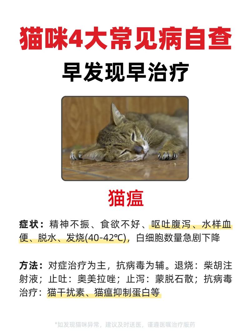 猫瘟治愈的几率大吗