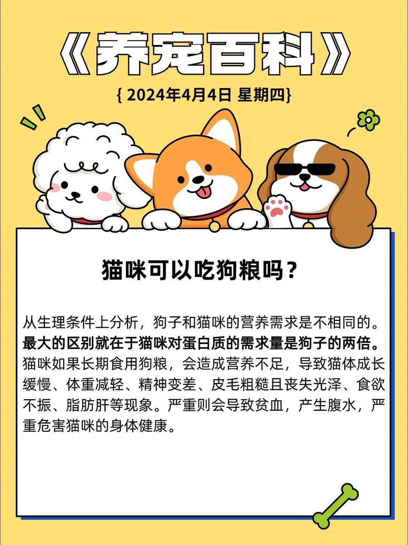 猫咪能不能吃狗粮