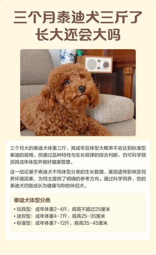 坐高铁可以带小狗吗?