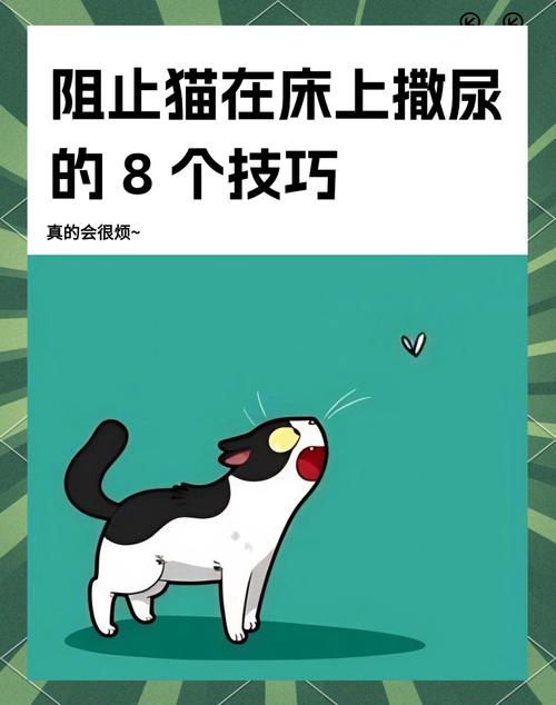 猫咪报复性尿床怎么办