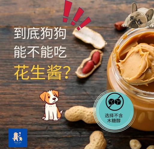 狗狗为什么吃花生酱好