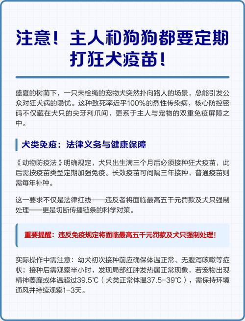 狗狗疫苗和狂犬能不能一起打