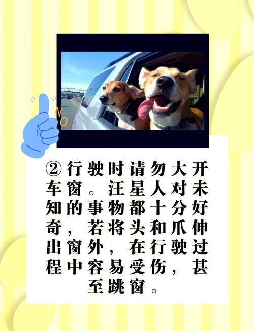 带狗打车需要注意哪些问题?