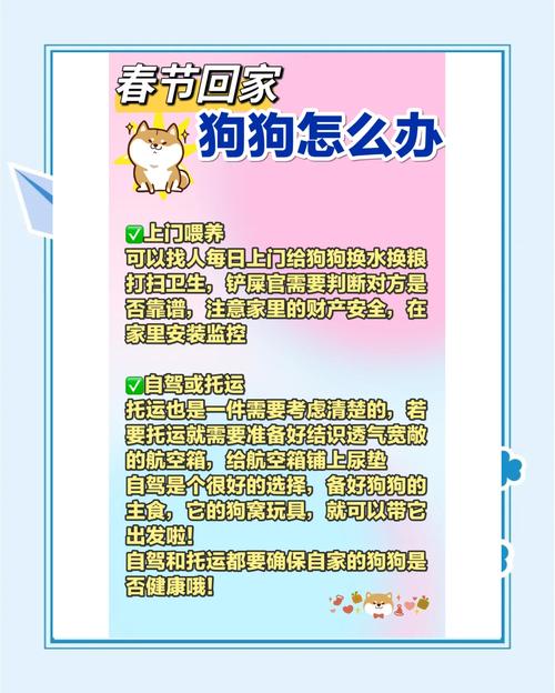 过年要带狗狗回老家,开车回去,要怎么照顾狗啊?它会难受吗?